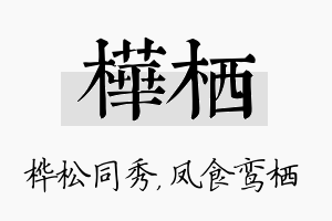 桦栖名字的寓意及含义