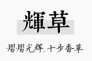 辉草名字的寓意及含义