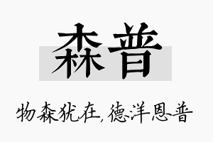 森普名字的寓意及含义