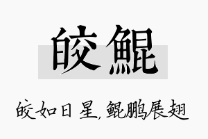 皎鲲名字的寓意及含义