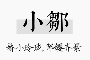 小邹名字的寓意及含义