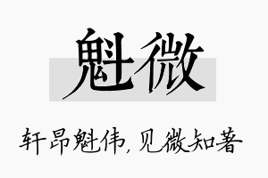 魁微名字的寓意及含义