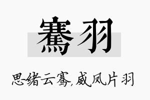 骞羽名字的寓意及含义