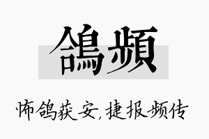 鸽频名字的寓意及含义