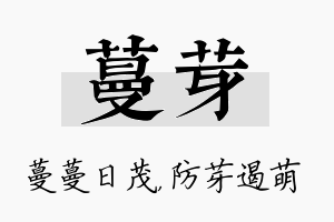 蔓芽名字的寓意及含义