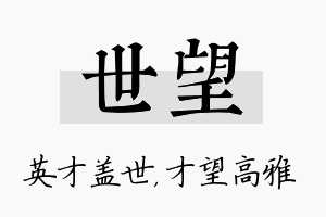 世望名字的寓意及含义