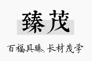 臻茂名字的寓意及含义