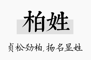 柏姓名字的寓意及含义