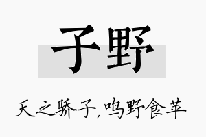 子野名字的寓意及含义