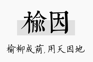 榆因名字的寓意及含义