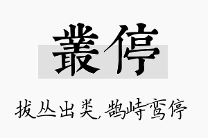 丛停名字的寓意及含义