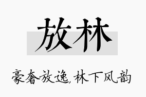 放林名字的寓意及含义