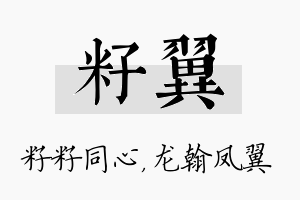 籽翼名字的寓意及含义