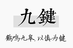 九键名字的寓意及含义