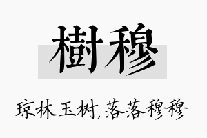 树穆名字的寓意及含义