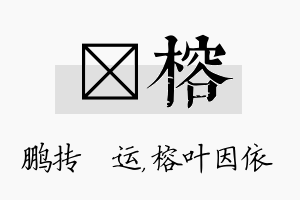 鹍榕名字的寓意及含义