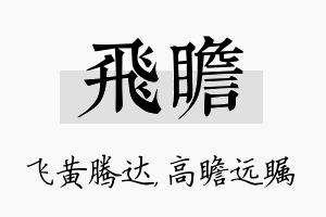 飞瞻名字的寓意及含义