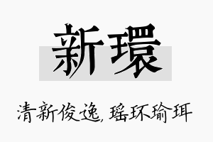 新环名字的寓意及含义