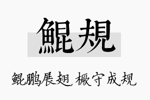 鲲规名字的寓意及含义