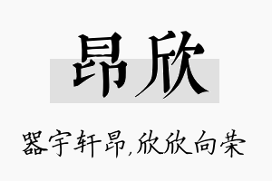 昂欣名字的寓意及含义