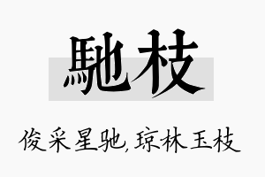 驰枝名字的寓意及含义