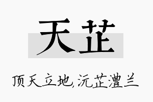 天芷名字的寓意及含义