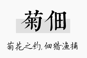 菊佃名字的寓意及含义