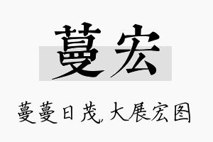 蔓宏名字的寓意及含义