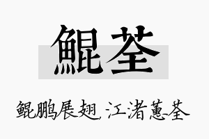 鲲荃名字的寓意及含义