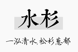 水杉名字的寓意及含义