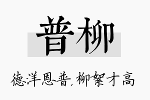 普柳名字的寓意及含义