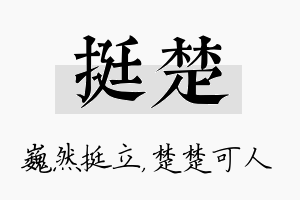 挺楚名字的寓意及含义