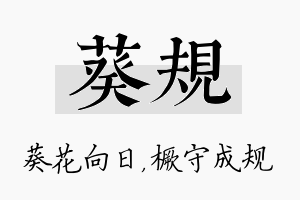 葵规名字的寓意及含义