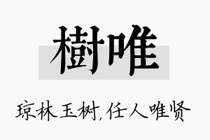 树唯名字的寓意及含义