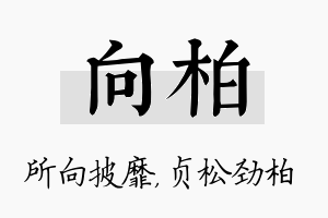 向柏名字的寓意及含义