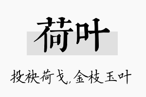 荷叶名字的寓意及含义