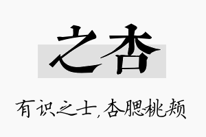 之杏名字的寓意及含义