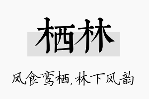 栖林名字的寓意及含义