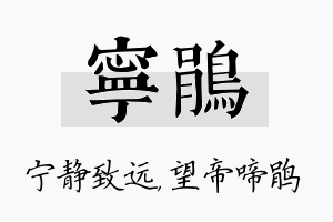 宁鹃名字的寓意及含义