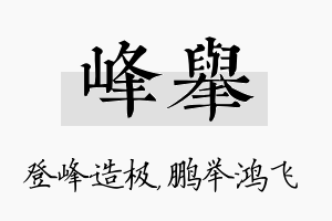 峰举名字的寓意及含义