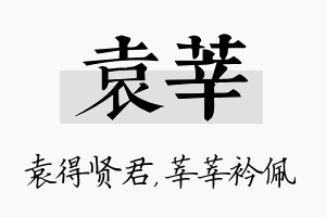 袁莘名字的寓意及含义