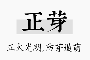 正芽名字的寓意及含义