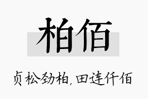 柏佰名字的寓意及含义