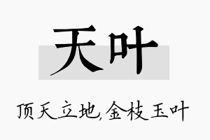 天叶名字的寓意及含义