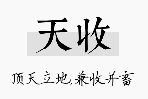 天收名字的寓意及含义