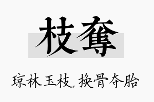 枝夺名字的寓意及含义