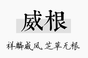 威根名字的寓意及含义