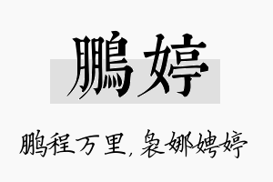 鹏婷名字的寓意及含义