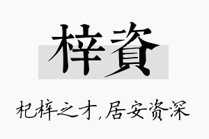 梓资名字的寓意及含义