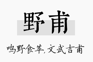 野甫名字的寓意及含义